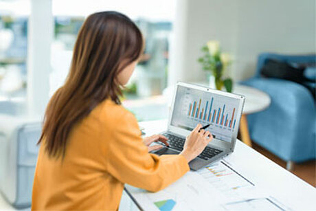 Internes Kontrollsystem Internes Kontrollsystem