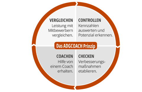 Kreis-Grafik mit Unterteilung in die Bereiche vergleichen, controllen, checken, coachen